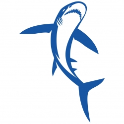 Stickers Requin 5 pour bateau